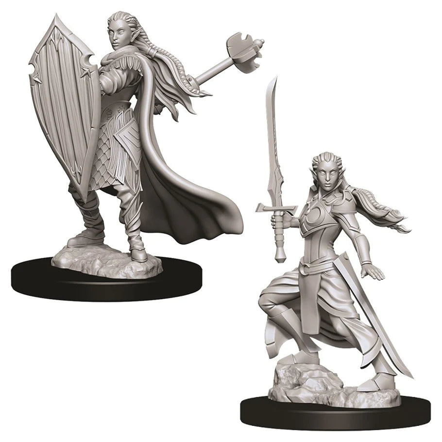 D&D Nolzur's Marvelous Miniatures: Elf Paladin (Female)