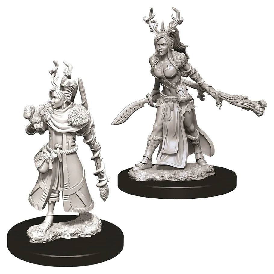 D&D Nolzur's Marvelous Miniatures: Human Druid (Female)