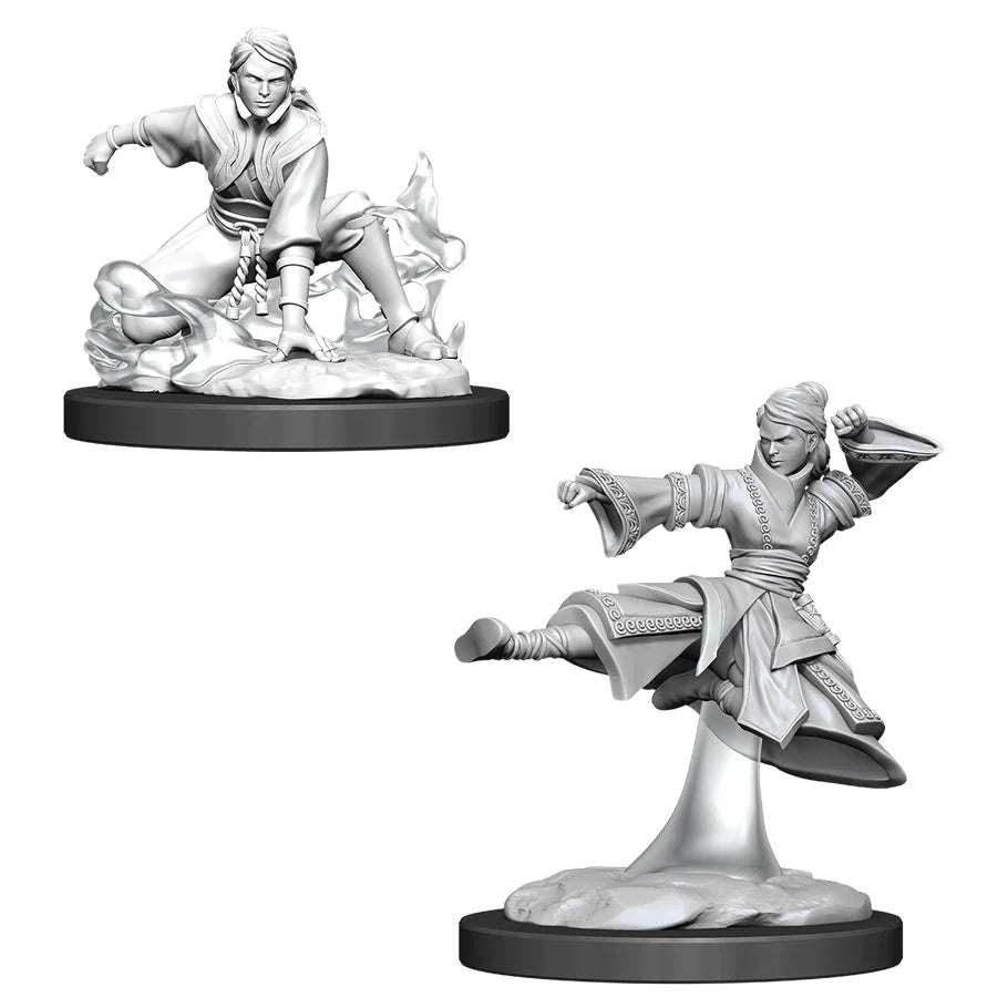 D&D Nolzur's Marvelous Miniatures: Human Monk (Female)
