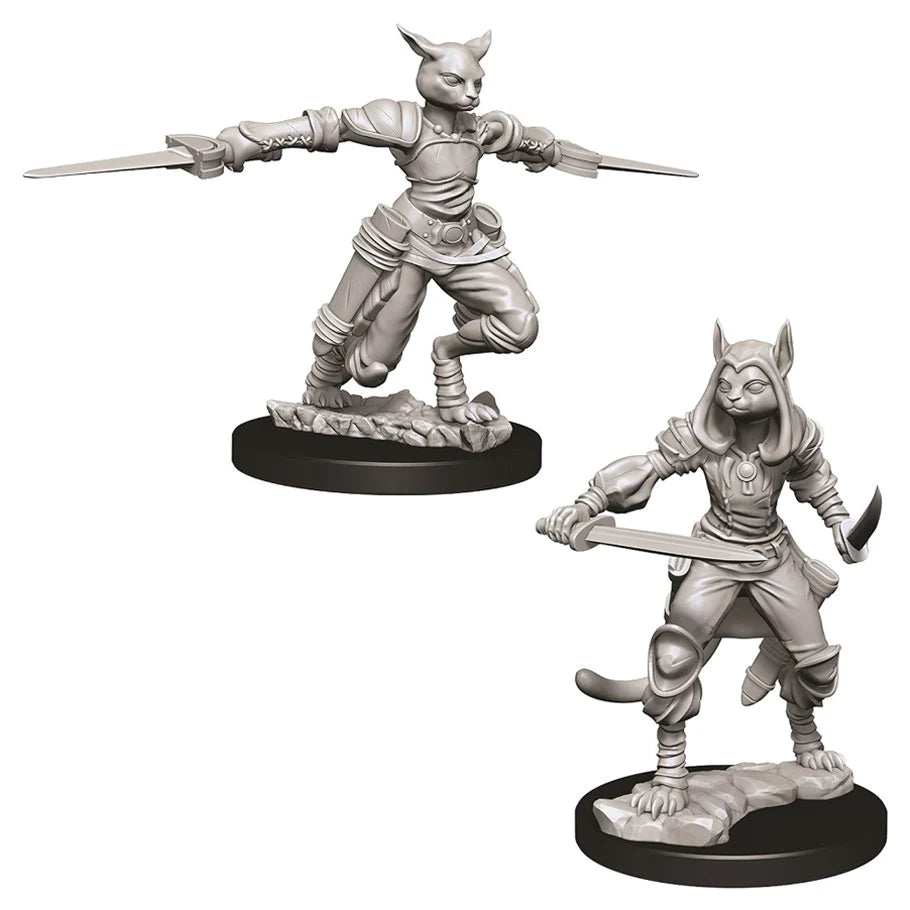 D&D Nolzur's Marvelous Miniatures: Tabaxi Rogue (Female)