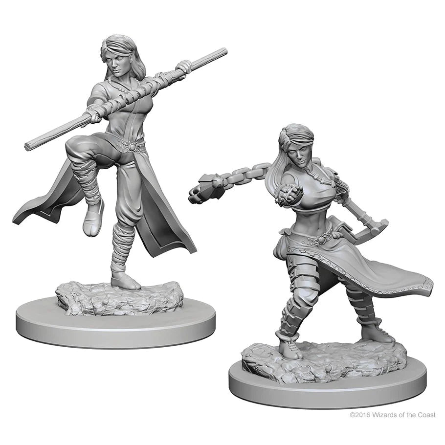 D&D Nolzur's Marvelous Miniatures: Human Monk (Female)