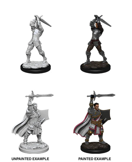 D&D Nolzur's Marvelous Miniatures: Human Paladin (Male)