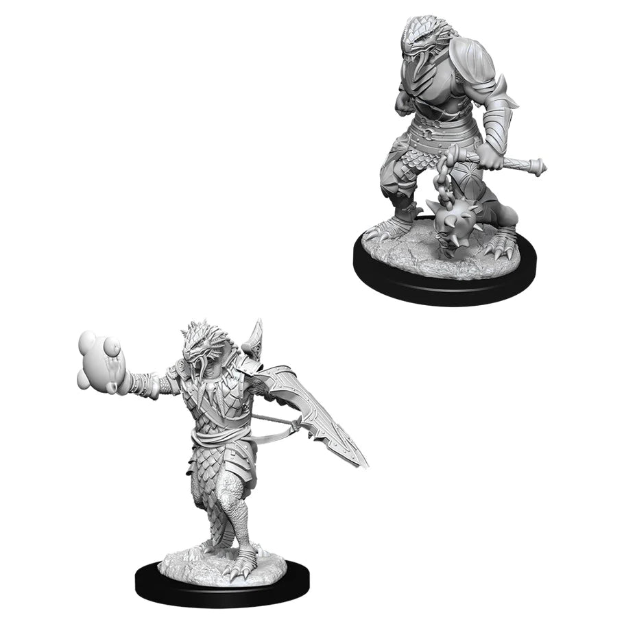 D&D Nolzur's Marvelous Miniatures: Dragonborn Paladin (Male)