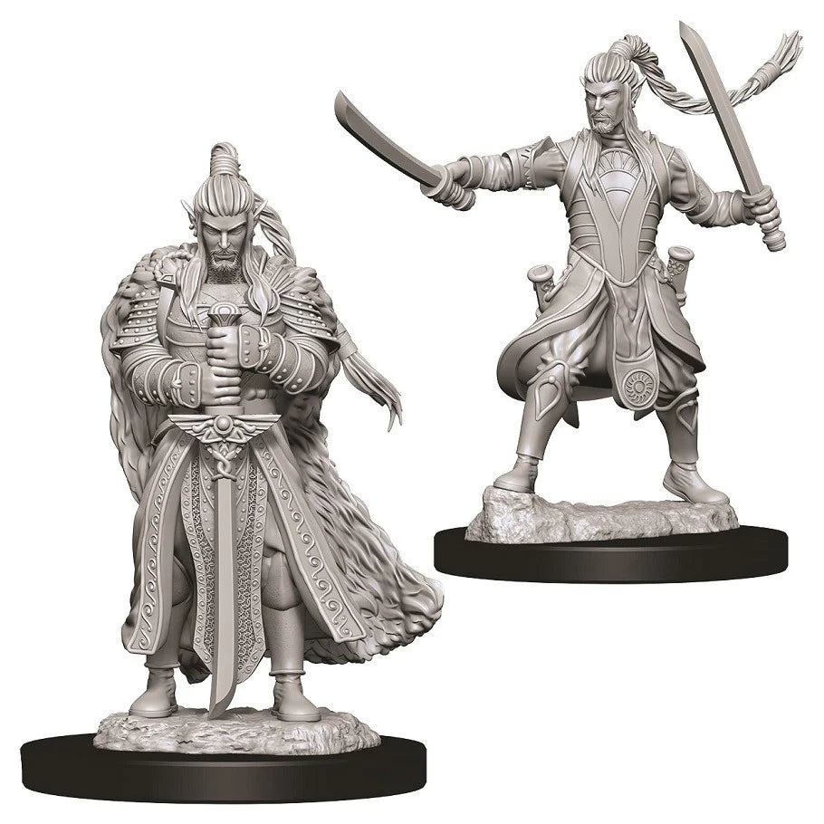 D&D Nolzur's Marvelous Miniatures: Elf Paladin (Male)