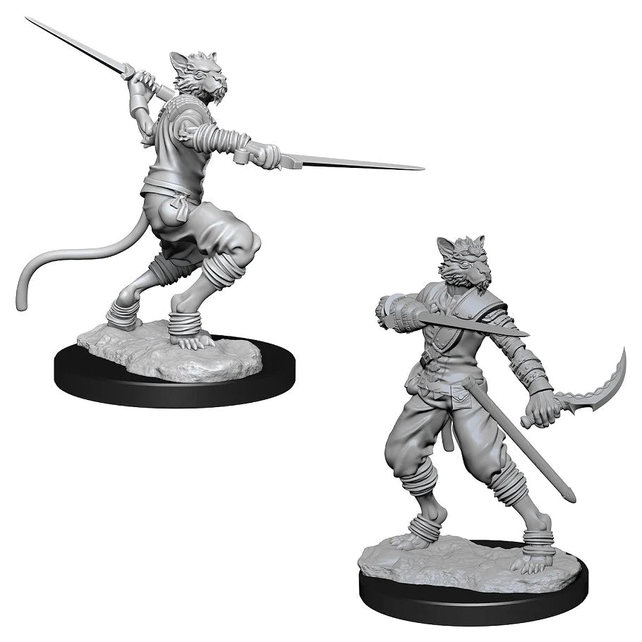 D&D Nolzur's Marvelous Miniatures: Tabaxi Rogue (Male)