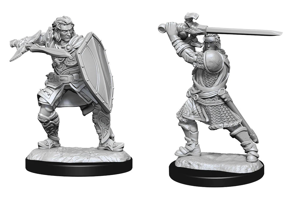 D&D Nolzur's Marvelous Miniatures: Human Paladin (Male)