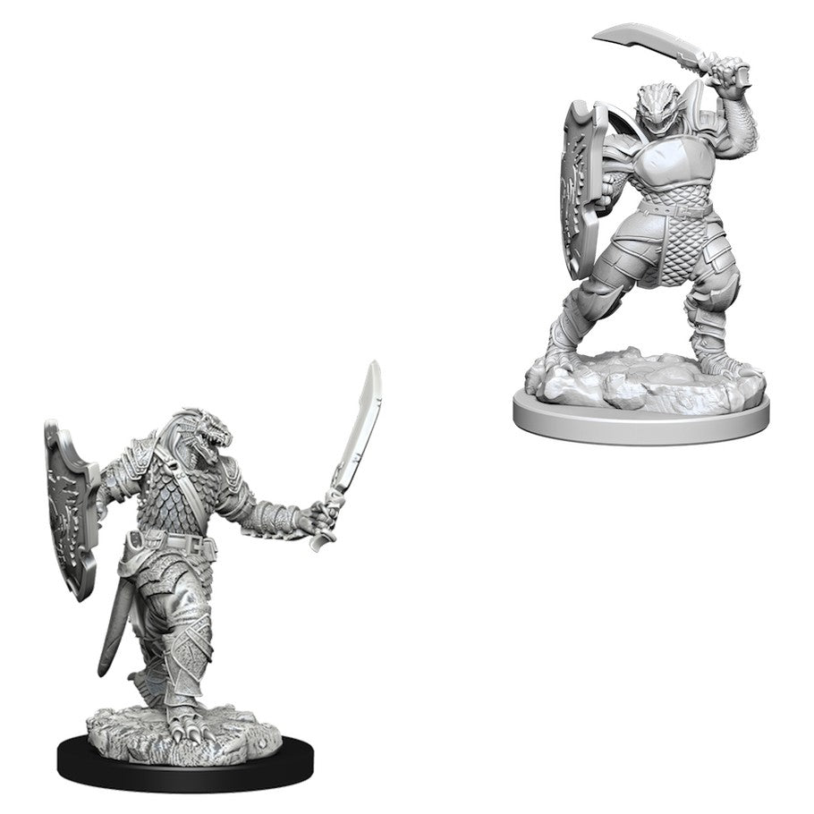 D&D Nolzur's Marvelous Miniatures: Dragonborn Paladin (Female)