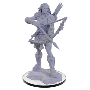 D&D Nolzur's Marvelous Miniatures: Wood Giant