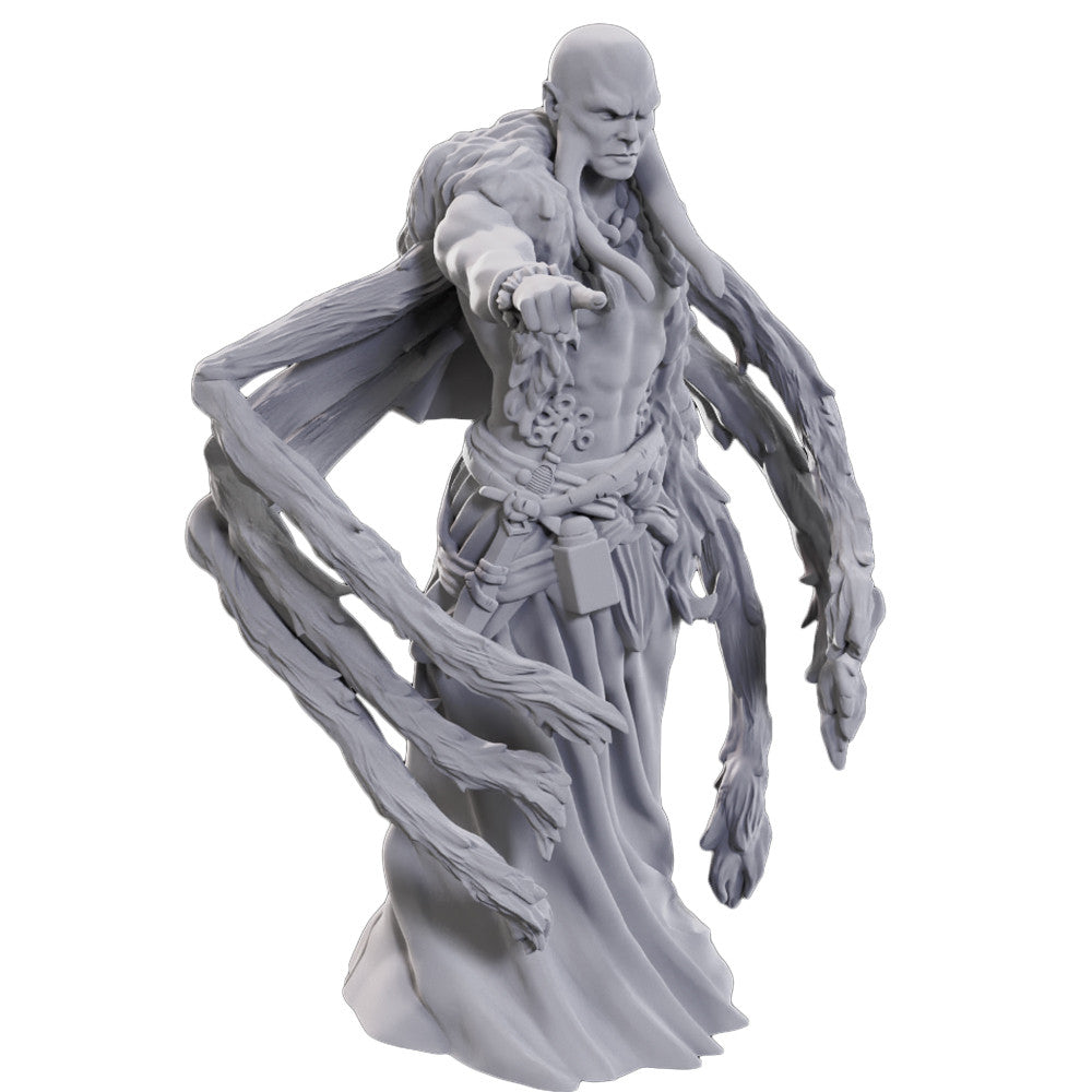 D&D Nolzur's Marvelous Miniatures: Kraken Priest