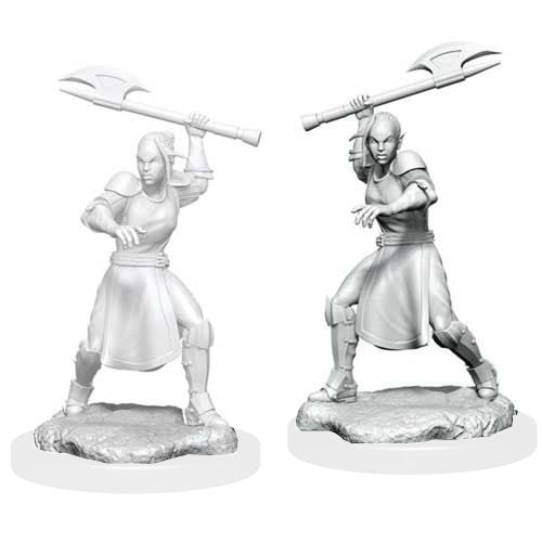 Critical Role Unpainted Miniatures: Half-Elf Echo Knight & Echo