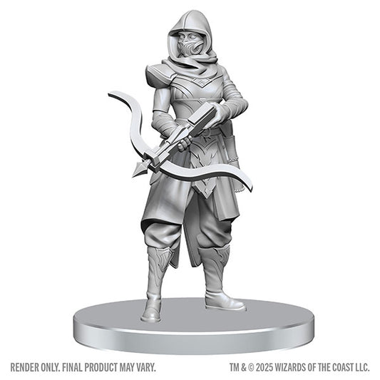 D&D Nolzur's Marvelous Miniatures: Assassin & Berserker