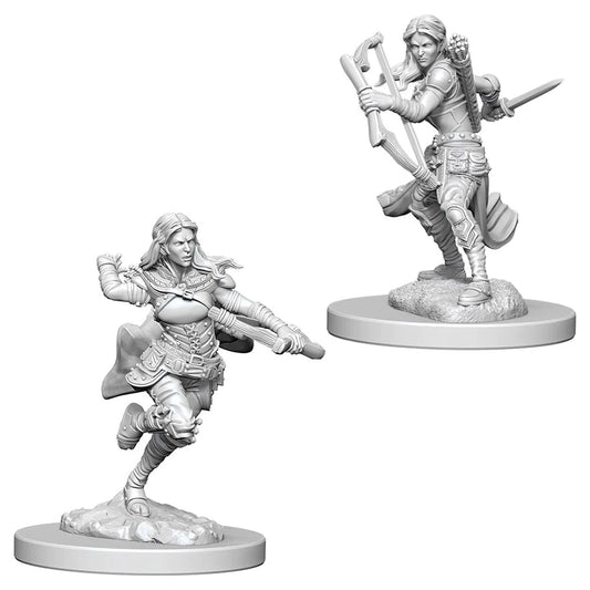 D&D Nolzur's Marvelous Miniatures: Air Genasi Rogue (Female)