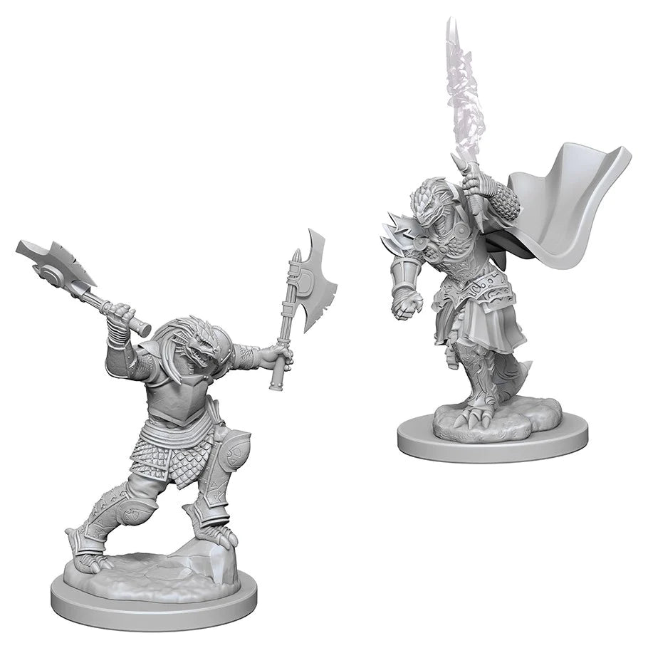 D&D Nolzur's Marvelous Miniatures: Dragonborn Fighter (Female)