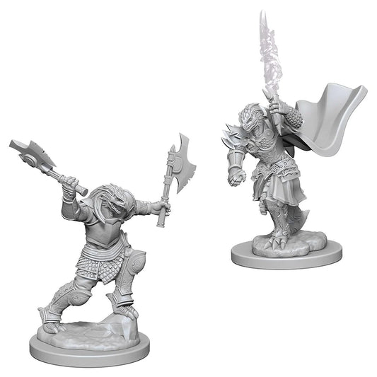 D&D Nolzur's Marvelous Miniatures: Dragonborn Fighter (Female)