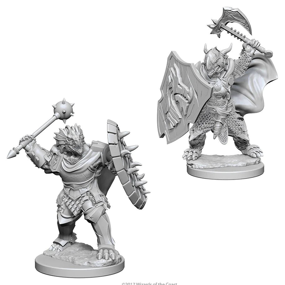 D&D Nolzur's Marvelous Miniatures: Dragonborn Paladin (Male)