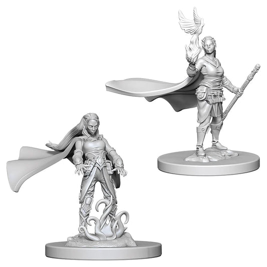 D&D Nolzur's Marvelous Miniatures: Elf Druid (Female)