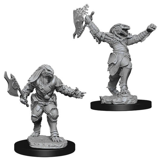D&D Nolzur's Marvelous Miniatures: Dragonborn Fighter (Female)