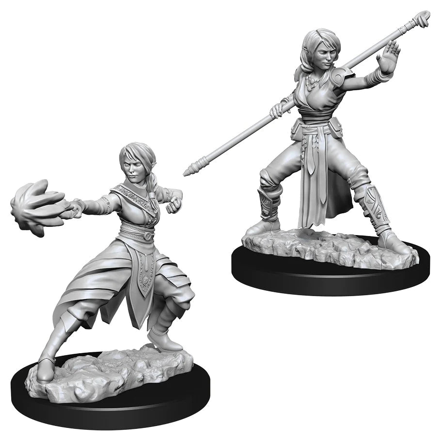 D&D Nolzur's Marvelous Miniatures: Half-Elf Monk (Female)