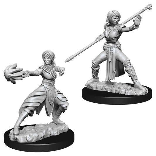 D&D Nolzur's Marvelous Miniatures: Half-Elf Monk (Female)