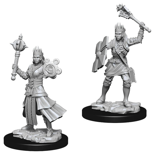 D&D Nolzur's Marvelous Miniatures: Human Cleric (Female)