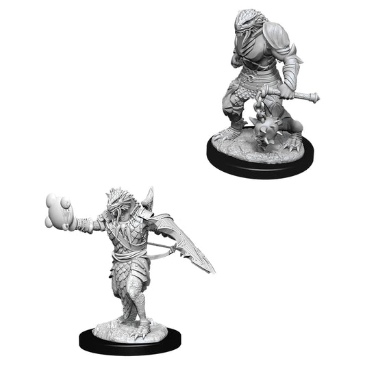 D&D Nolzur's Marvelous Miniatures: Dragonborn Paladin (Male)