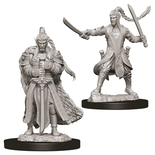 D&D Nolzur's Marvelous Miniatures: Elf Paladin (Male)