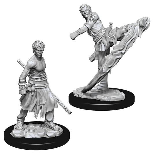 D&D Nolzur's Marvelous Miniatures: Half-Elf Monk (Male)