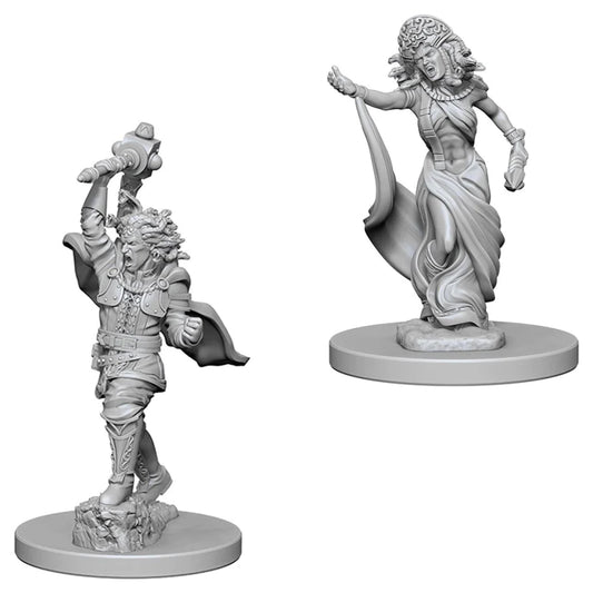 D&D Nolzur's Marvelous Miniatures: Medusas