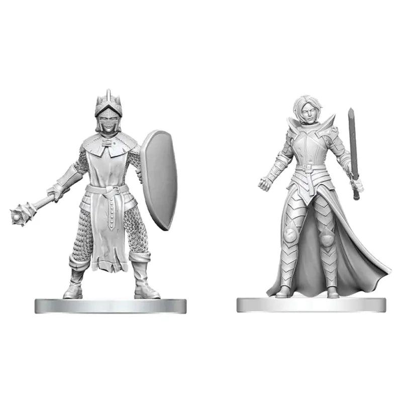 D&D Nolzur's Marvelous Unpainted Minis: Black Gauntlet & Zhentilar Paladin of Bane