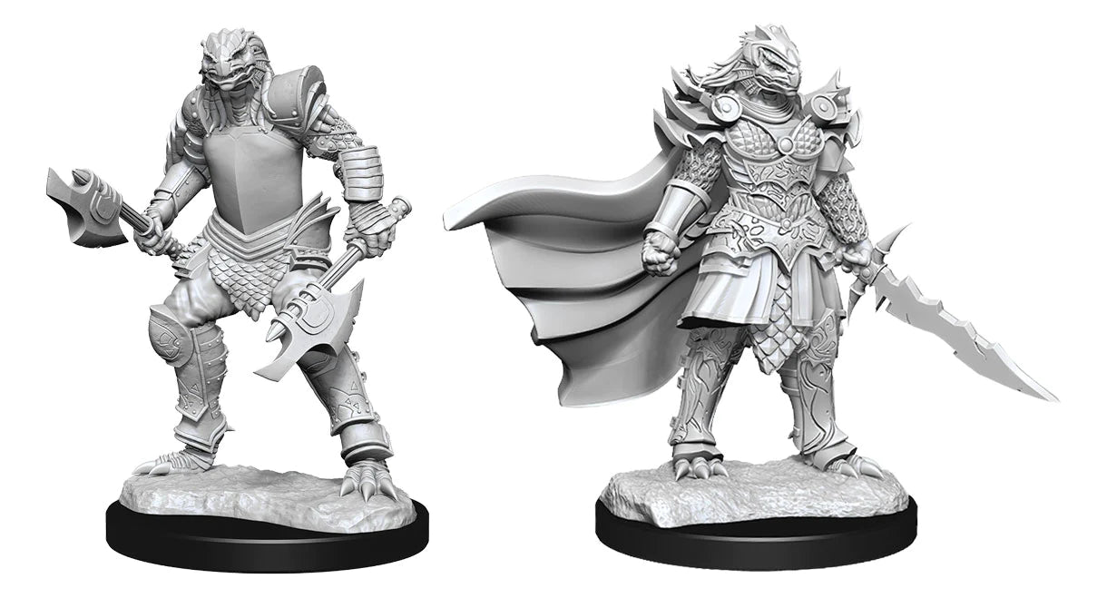 D&D Nolzur's Marvelous Miniatures: Dragonborn Fighter (Female)