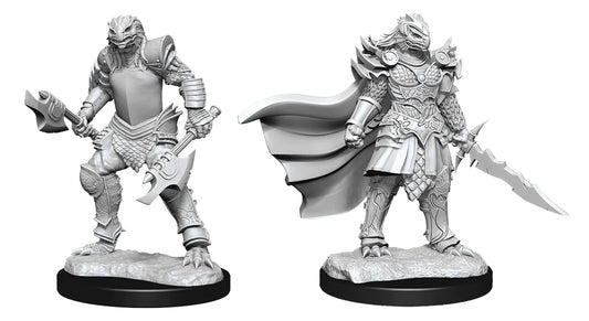 D&D Nolzur's Marvelous Miniatures: Dragonborn Fighter (Female)
