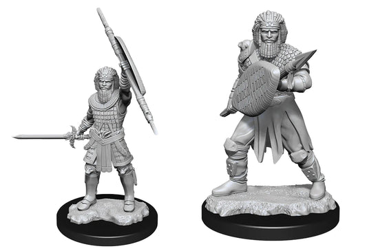 D&D Nolzur's Marvelous Miniatures: Human Fighter (Male)