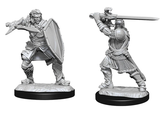 D&D Nolzur's Marvelous Miniatures: Human Paladin (Male)