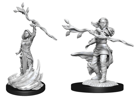 D&D Nolzur's Marvelous Miniatures: Human Druid (Female)
