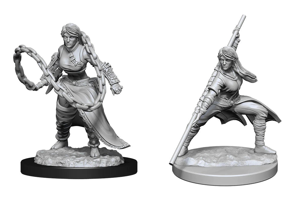 D&D Nolzur's Marvelous Miniatures: Human Monk (Female)