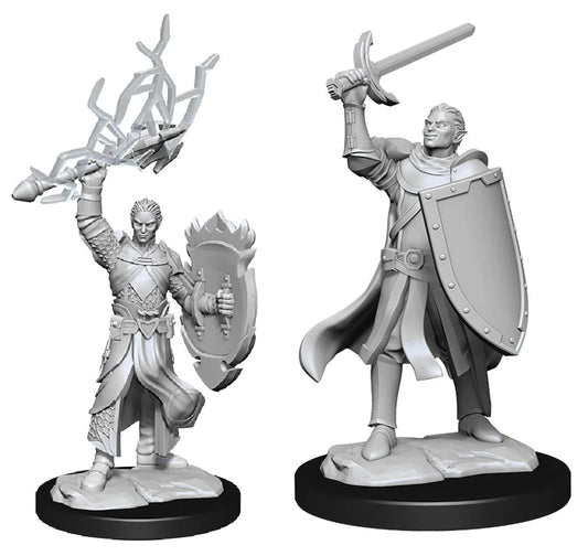 D&D Nolzur's Marvelous Miniatures: Half-Elf Paladin (Male)