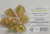Imperium: Potted Plant Critters Resin 7 Dice Set