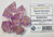 Imperium: Sweet Dreams Resin 7 Dice Set