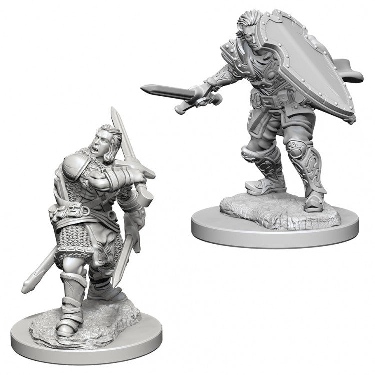 D&D Nolzur's Marvelous Miniatures: Human Paladin (Male)
