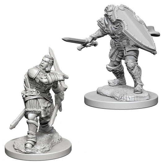 D&D Nolzur's Marvelous Miniatures: Human Paladin (Male)