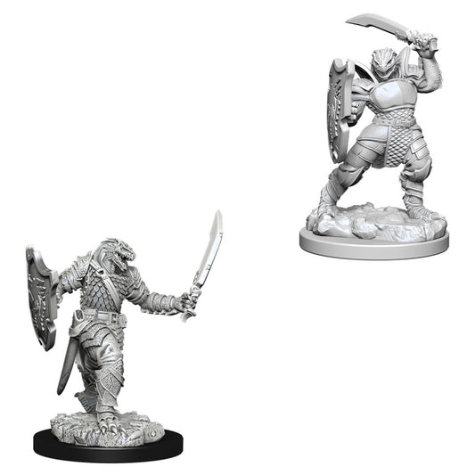 D&D Nolzur's Marvelous Miniatures: Dragonborn Paladin (Female)