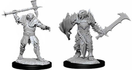 D&D Nolzur's Marvelous Miniatures: Dragonborn Paladin (Male)