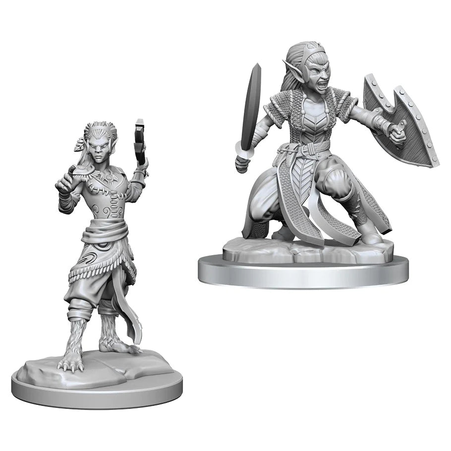 D&D Nolzur's Marvelous Miniatures: Shifter Fighter