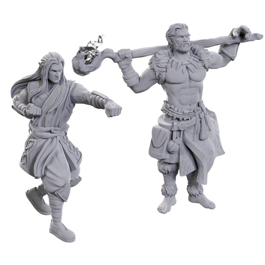 D&D Nolzur's Marvelous Miniatures: Archdruid & Martial Arts Adept