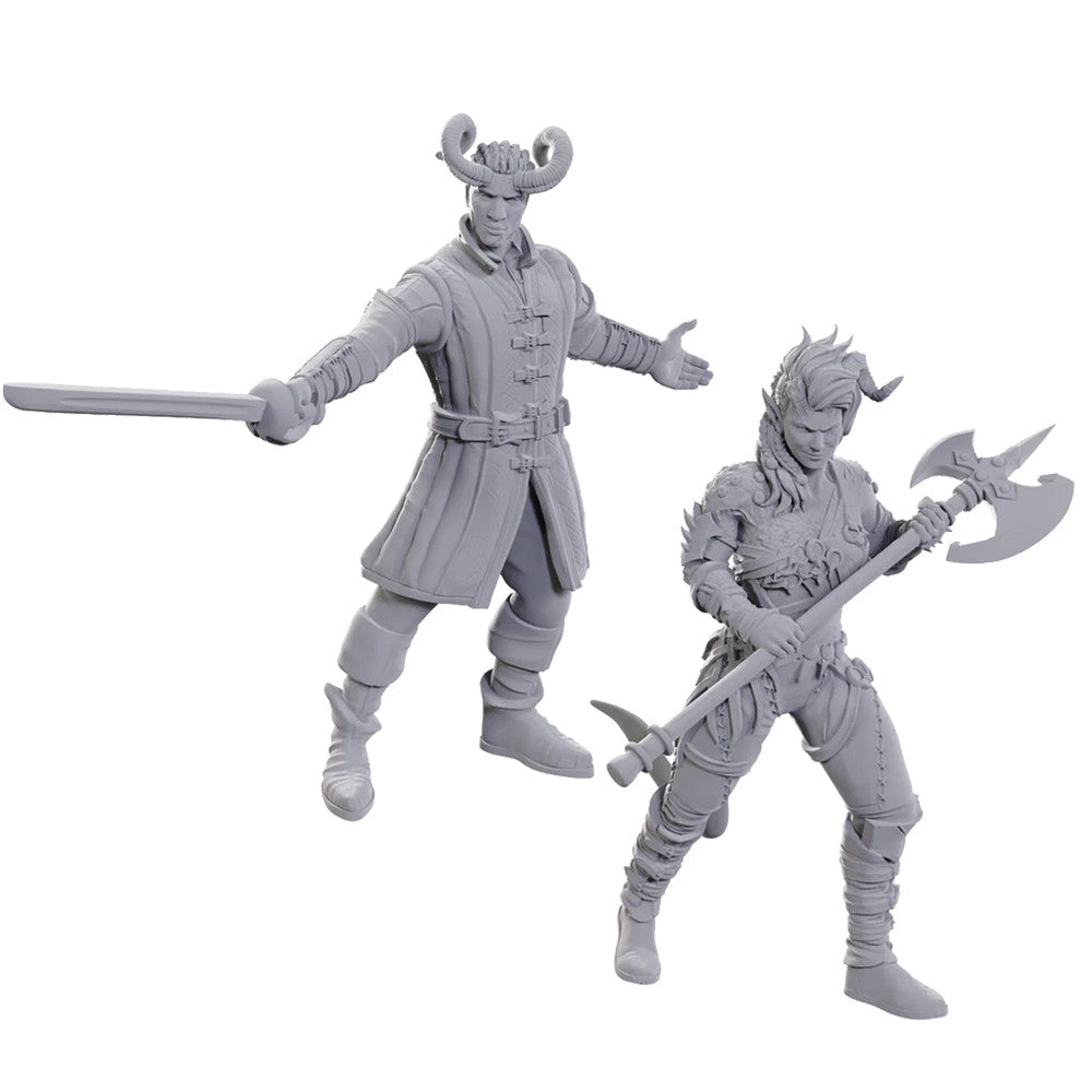 D&D Nolzur's Marvelous Miniatures: Baldur's Gate 3 - Wyll & Karlach