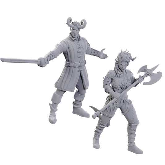 D&D Nolzur's Marvelous Miniatures: Baldur's Gate 3 - Wyll & Karlach