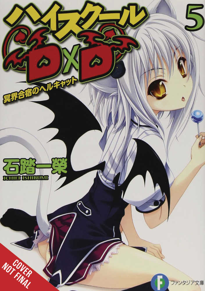 High School Dxd Light Novel Softcover Volume 05 (Mature)