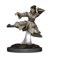 D&D Icons of the Realms Premium: Human Monk Female