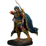 D&D Icons of the Realms: Elf Rogue Male